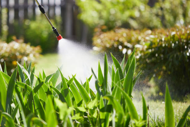 24/7 Emergency Rodent Control experts in Pacheco, CA