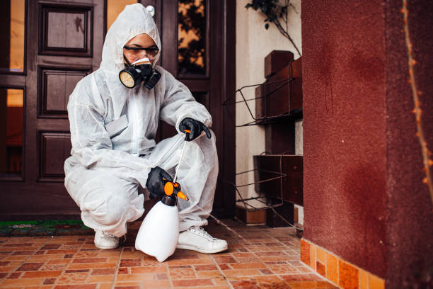 Reliable Rodent Control contractor in Pacheco, CA by Nex Pest Control